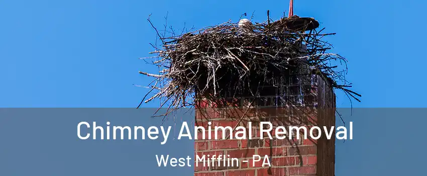 Chimney Animal Removal West Mifflin - PA