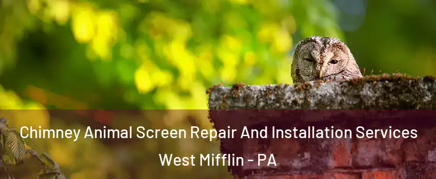  Chimney Animal Screen Repair And Installation Services West Mifflin - PA
