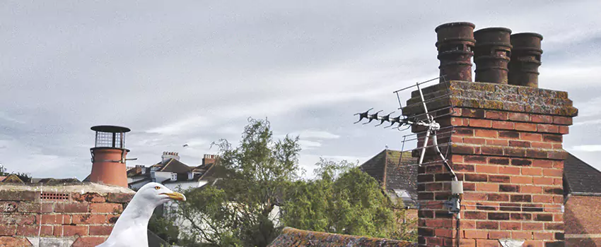 Chimney Cleaning And Restoration in West Mifflin, Pennsylvania