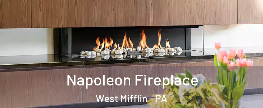  Napoleon Fireplace West Mifflin - PA